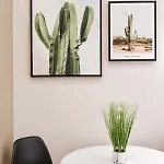 Appartamento Havana Odessa